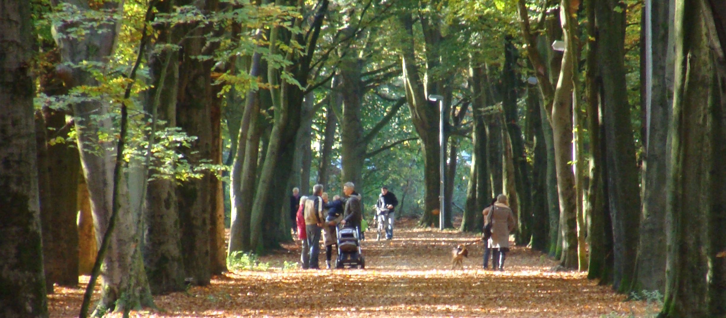 Bocholt.de | Wanderungen: Aasee und Stadtwald