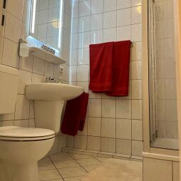 Holiday apartment Karolinger Bad 