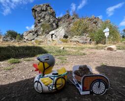 Neue Seite 1261_Ente im sauerland_Annette Liebrand