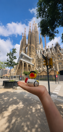 Neue Seite 1397_Ente vor Sagrda Familia_Roswitha Huppertz