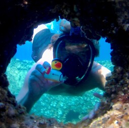 Neue Seite 786_Ente in Kroatien_Thilo Jansen