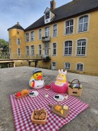 Neue Seite 956_Ente am Schloss Diepenbrock_Carina Euting