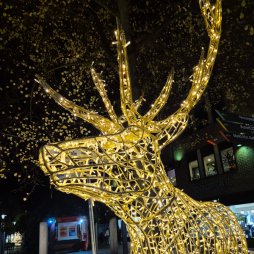 Lichtzondag in Bocholt