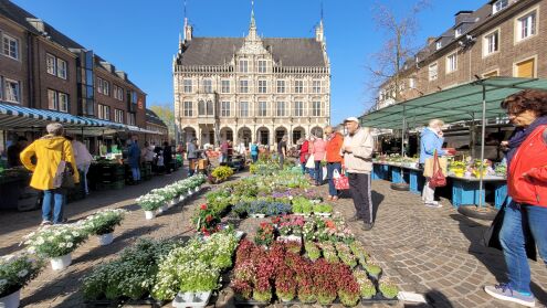 Wekelijkse markt voor het historische stadhuis van Bocholt