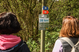 2026-04-19 Bocholt wandert_Foto Sven Betz (245)
