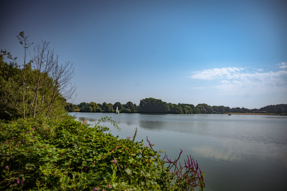 Lake Aasee