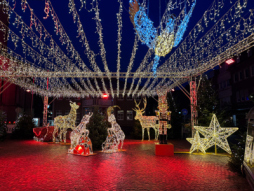 Luminous animals in Bocholt's winter village