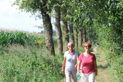 Hikers