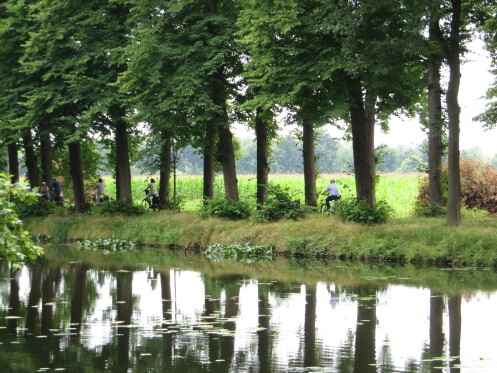 Pastures on the Aa