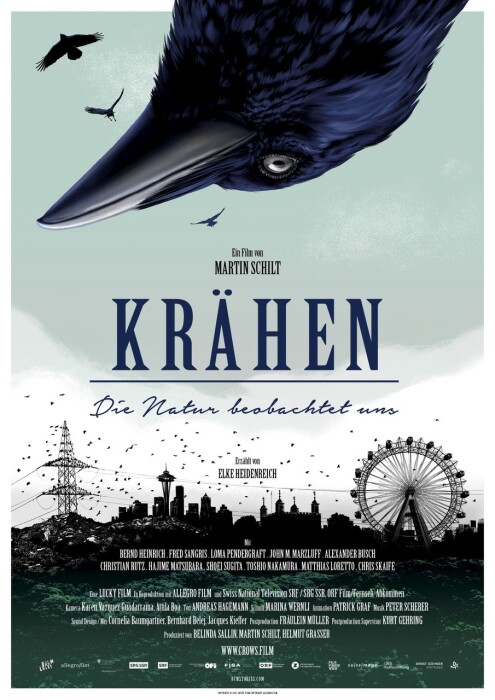 2024_01_23 Cinema poster crows co DCM