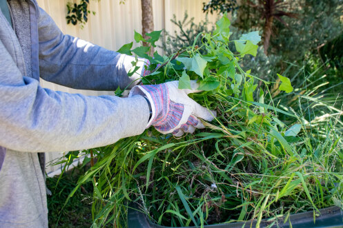 Green waste