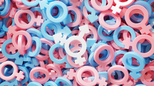 transgender