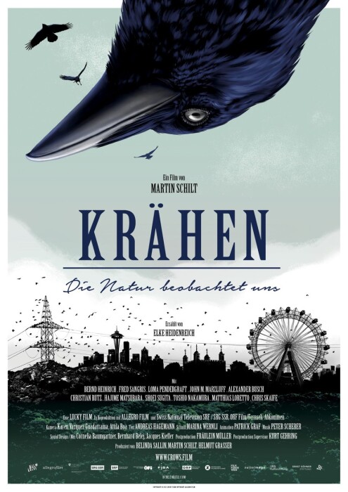 The large sideways head of a crow dives into the poster from above and upside down, surrounded by three flying little ravens. In the centre is the title: Crows - Nature is watching us. The skyline of a large city with a high-voltage pylon and Ferris wheel is silhouetted at the bottom. Everything is populated and buzzing with small black birds.