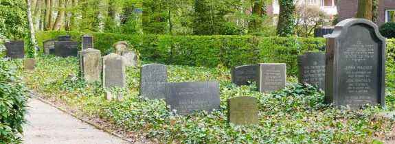 image (1)