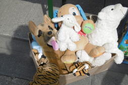 The ESB children's flea market is well attended every year The ESB children's flea market is well attended every year
