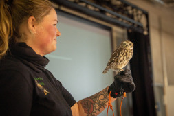  A falconer presented three of the birds of prey she had brought with her.  