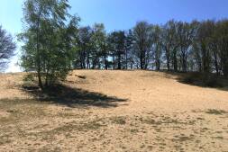  The sand dune field in the Hohenhorst mountains 