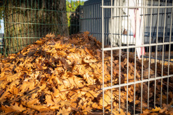 Autumn leaves ESB sets up additional collection point for green waste
