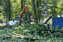  Storm damage still needs to be repaired in Bocholt's Langenbergpark 