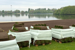 The area at the Aasee bathing bay is currently being landscaped with rolled turf The area at the Aasee bathing bay is currently being landscaped with rolled turf