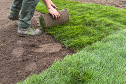 The area at the Aasee bathing bay is currently being landscaped with rolled turf The area at the Aasee bathing bay is currently being landscaped with rolled turf