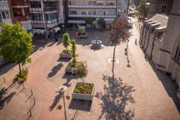 Insgesamt acht Kübel stehen am Georgsplatz und vor der Georgskirche