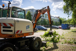 Clean-up work continues in Bocholt after heavy storms Clean-up work continues in Bocholt after heavy storms