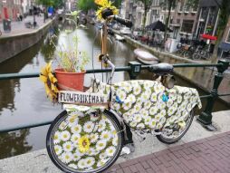  Flower bike 