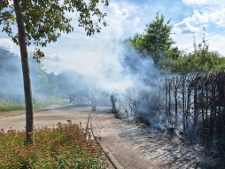  Hedge fire 