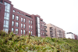 The property market report is now available for inspection The property market report is now available for inspection