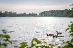  Online public participation in the development of Bocholt's Aasee lake starts on Monday  