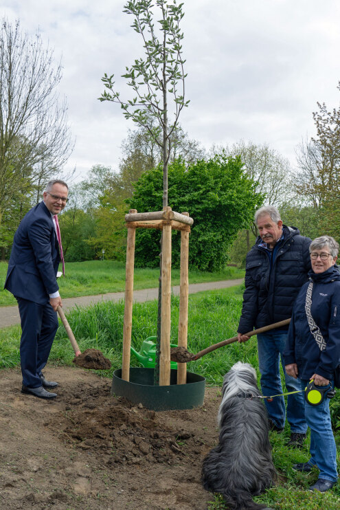 Tree planting Bocholt 2024
