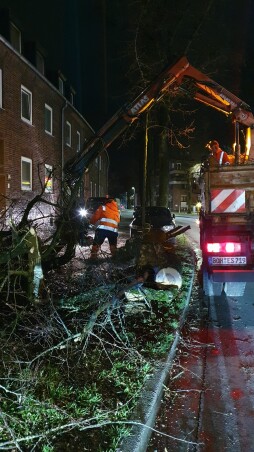 Storm February 2022 1 ESB removes fallen lime tree on Dinxperloer Straße in Bocholt.