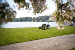 A short break during the Aasee cycle tour? The new loungers are a great opportunity for this. A short break during the Aasee cycle tour? The new loungers are a great opportunity for this.