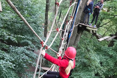 Kletterwald