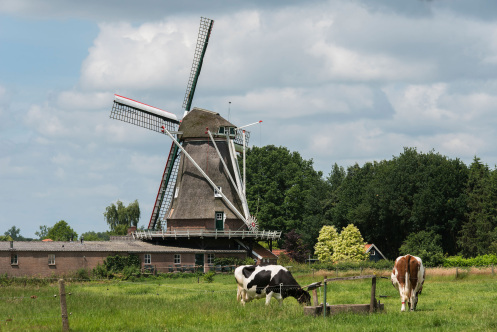 achterhoek_landschap_molen_1