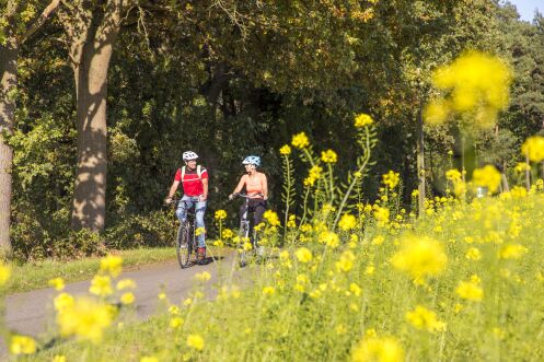 Fahrrad_1