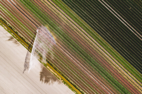 Landwirtschaft