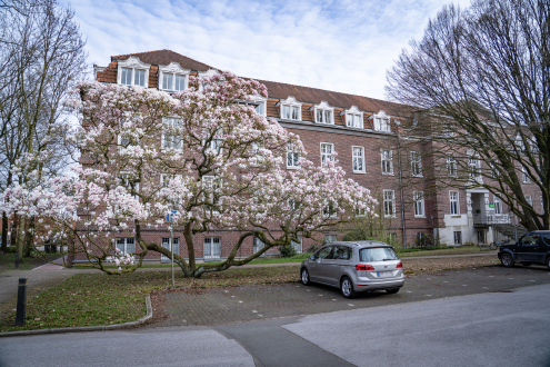 2024-03-21_Magnolienblüte-0029