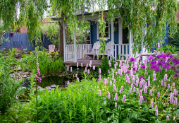 Offene Gartenpforte 2025 Offene Gartenpforte 2025