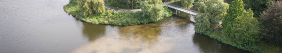 Im Aasee haben sich Sand und Sedimente deutlich sichtbar abgelagert