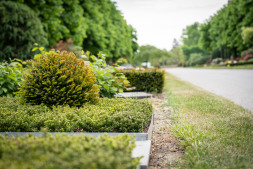  Der Friedhof an der Blücherstraße 