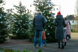 Weihnachtskugeln vom Friedhof können abgeholt werden. Die Abholphase für die Gedenkkugeln ist gestartet. Noch bis zum 18. Januar können die Kugeln durch die Besitzer am Friefhof abgehängt und abgeholt werden.