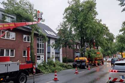 Im Bereich der Dinxperloer Straße ist ein Baum auf ein Haus gestürzt