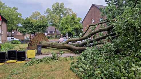 Einsätze im Stadtgebiet