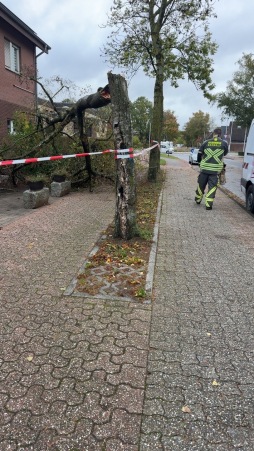 2026-10-24Baumumgekrickt.jpg FW Bocholt