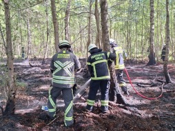 20260430_145716.jpg Waldbrand Barlo 2/3