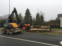  Zwölf ungarische Eichen wurden jetzt entlang des Straßenabschnitts zwischen Barloer und Burloer Weg nachgepflanzt. 