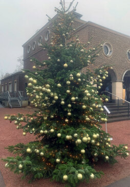  Die Weihnachtstanne am Friedhof. 600 Kugeln mit kleinen Botschaften an Verstorbene wurden aufgehängt. Bis zum 15. Januar können die Kugeln wieder abgenommen werden. 