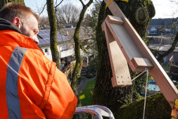 \ Mitarbeiter des Entsorgungs- und Servicebetriebs hängen mechanische Krähenklatschen auf, die durch ihr lautes Geräusch Krähen vergrämen sollen.
